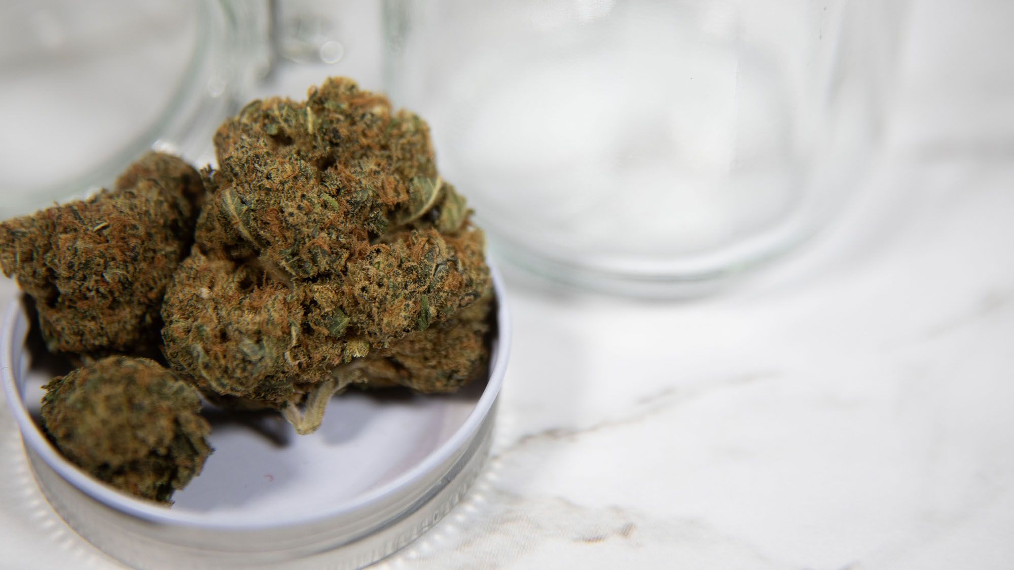 Understanding Strain Differentiation in New Jersey Marijuana Dispensaries in 2022